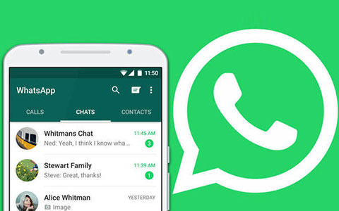 WhatsApp在中国怎么用？WhatsApp新版免费下载！